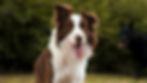 tereza-ruba-305239-unsplash
