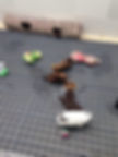 Playground Filhotes