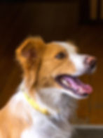 harry-burk-517498-unsplash