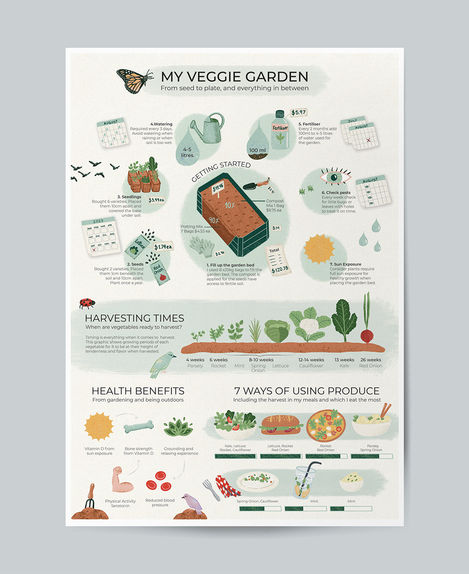 Infographic