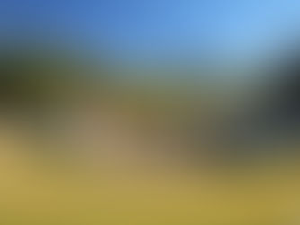 Discover the Heart of Nashville: Your Ultimate Guide to Bicentennial Park