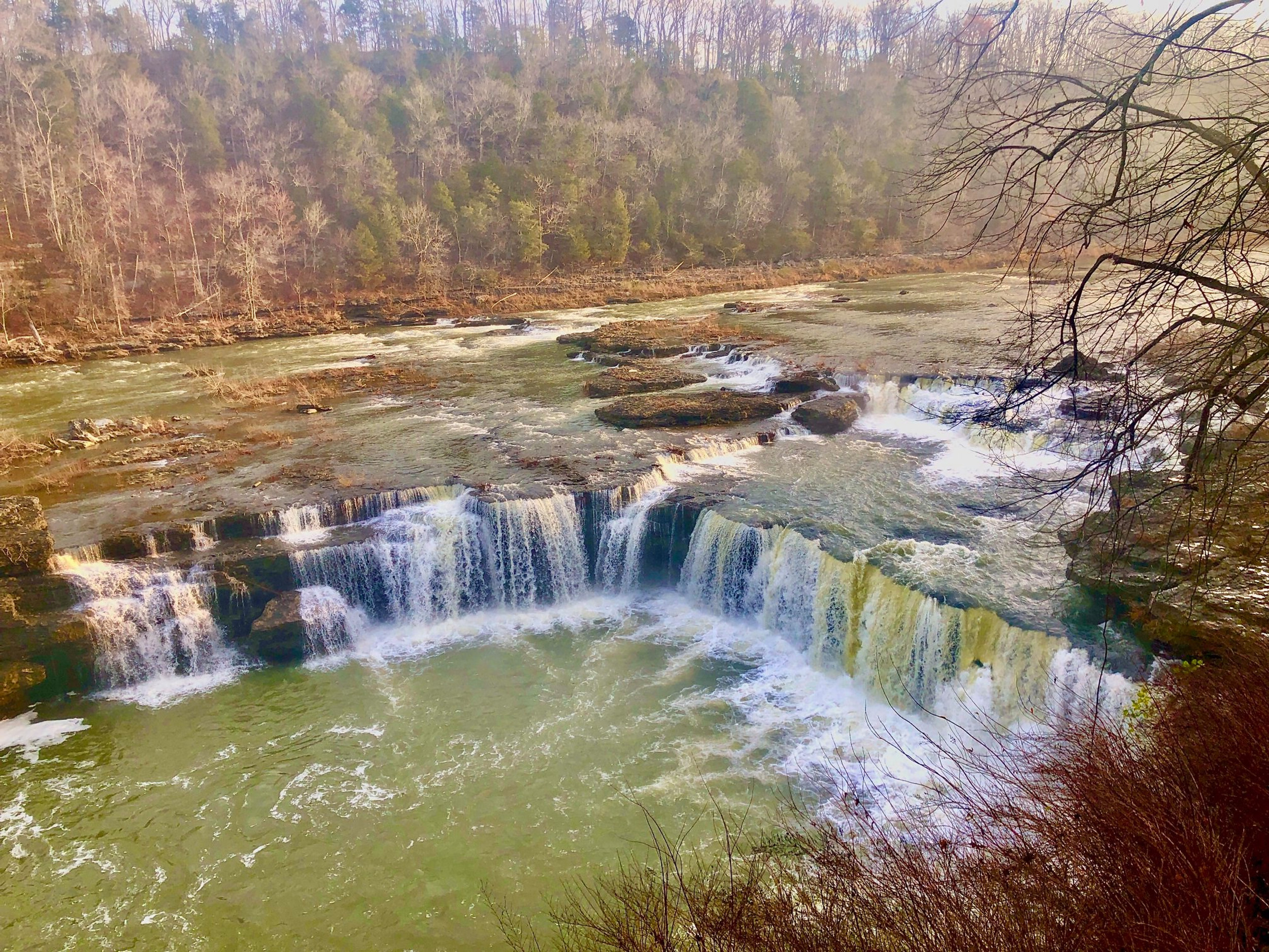 Nashville'S Hidden Farm Gems: By Owner Listings Revealed! - vy7vmd2