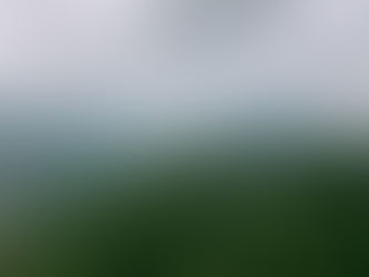 Great Smoky Mountains National Park: Your Complete Guide to America’s Most-Visited Wilderness