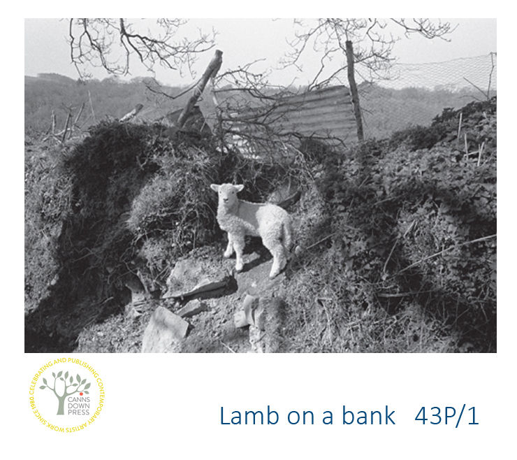 Thumbnail: Greetings card James Ravilious black and white photography Devon and south west Birthday card Thank you cards Beaford Chandni