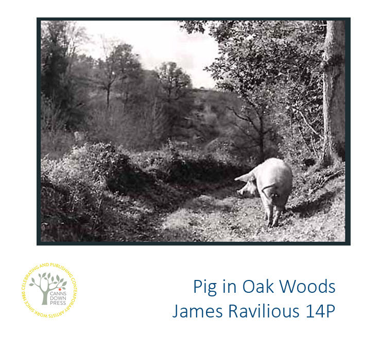 Thumbnail: Greetings Cards - James Ravilious