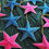 Thumbnail: Recycled Card Stars