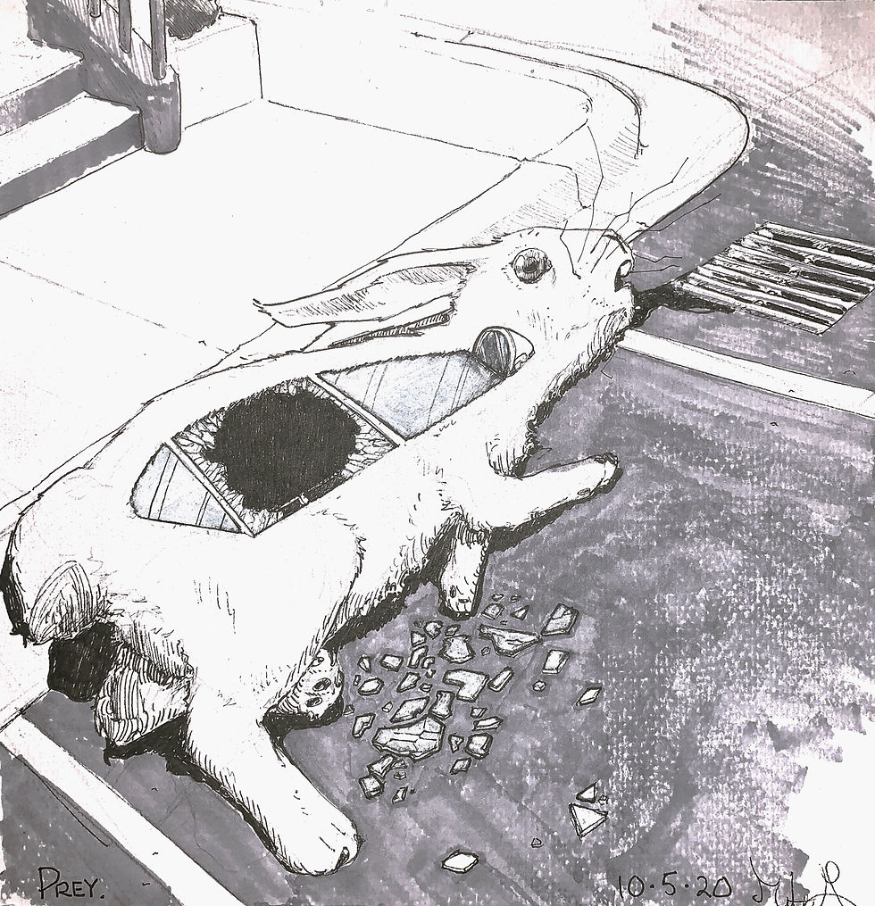 File_022+29