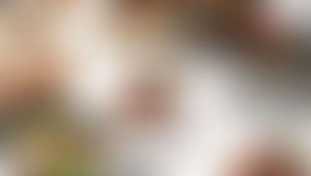 こんにちは！ビストロ・ル・ポットです。