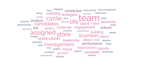 BMGT 2280 Word Cloud Miranda Rush.png