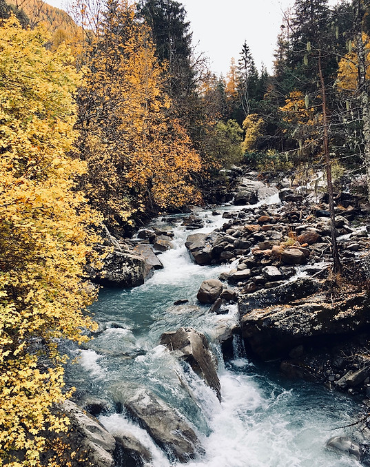 rivière baye automne