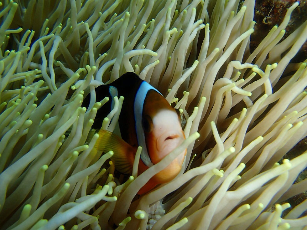 写真 2014-08-06 17 17 16.jpg