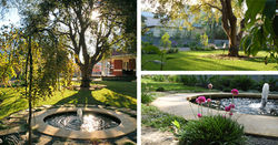 Pool & Garden Design Perth