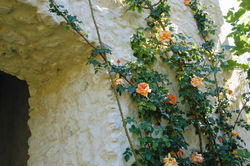 City Landscaping Perth