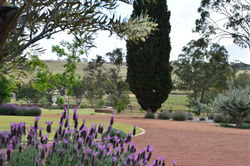 Country Gardens, Pool & Landscaping