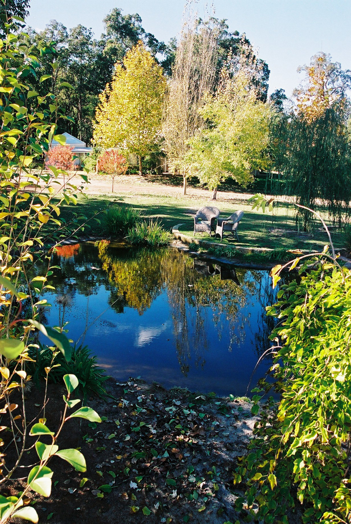 garden design and landscaping