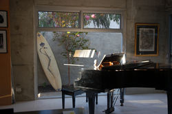 Cottesloe Courtyard Landscaping