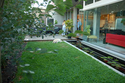 Cottesloe Courtyard Landscaping