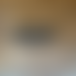 修論、卒論発表会が開催されました