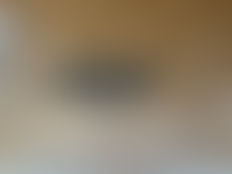 修論、卒論発表会が開催されました