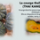 Miniature : Courge Potimarron Shiatsu BIO /SUD-OUEST la 1/2 pièce mini 700g à 800g