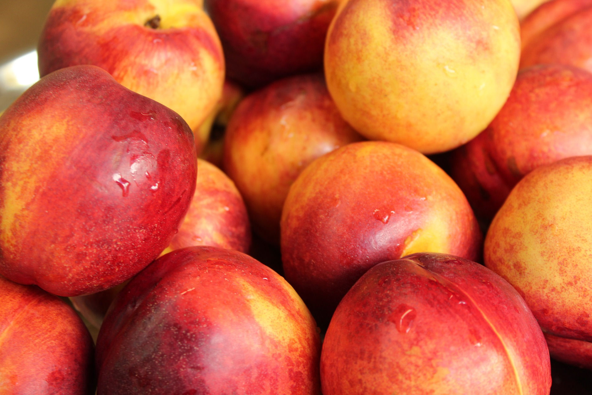 Nectarine Jaune BIO /Roussillon ~600g