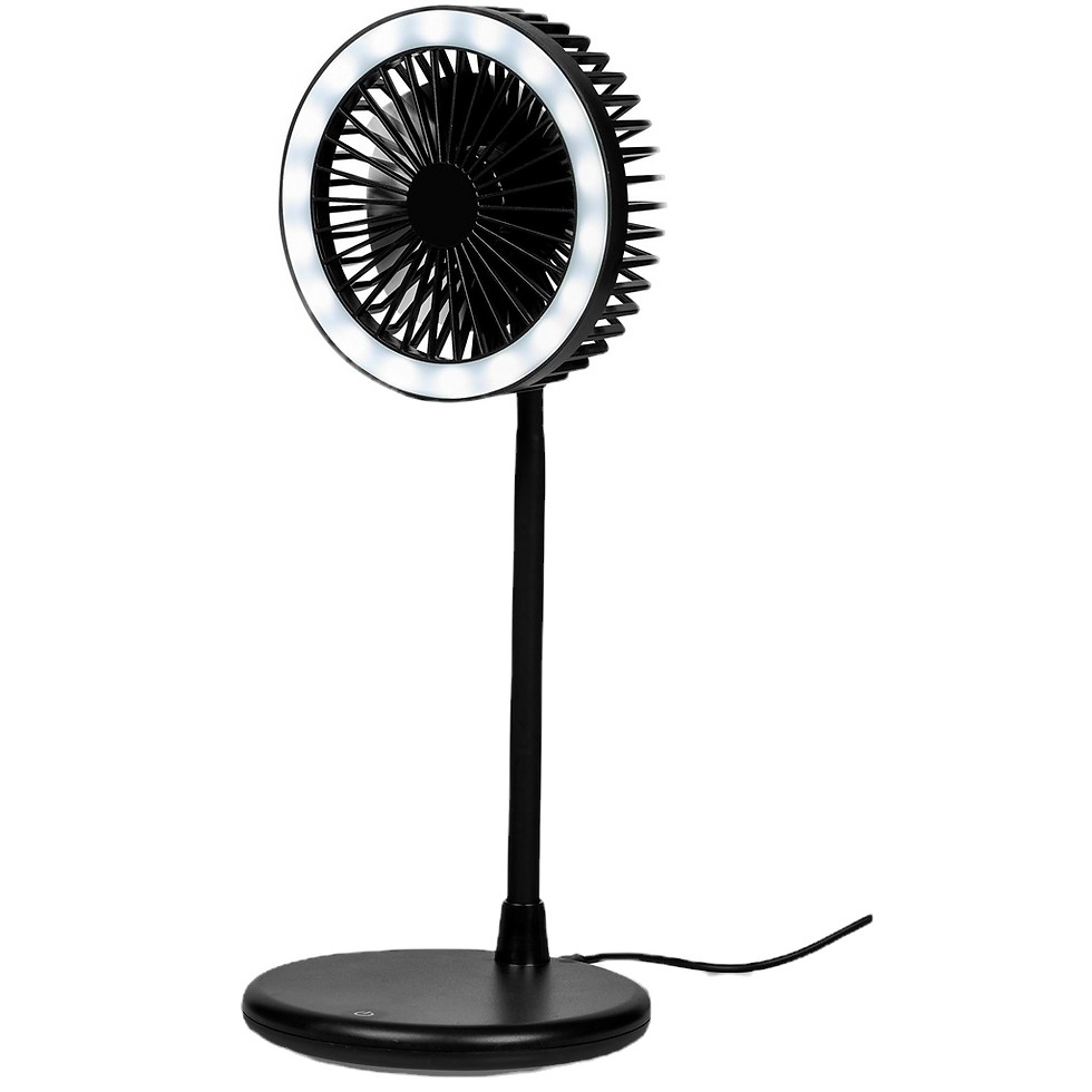 Light Breeze LED Ring Light Desk Fan