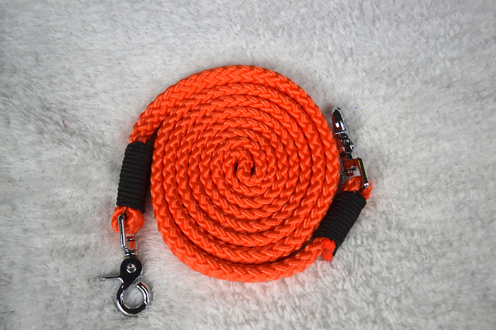 Miniature : Rênes éthologiques plates 12mm | Orange néon