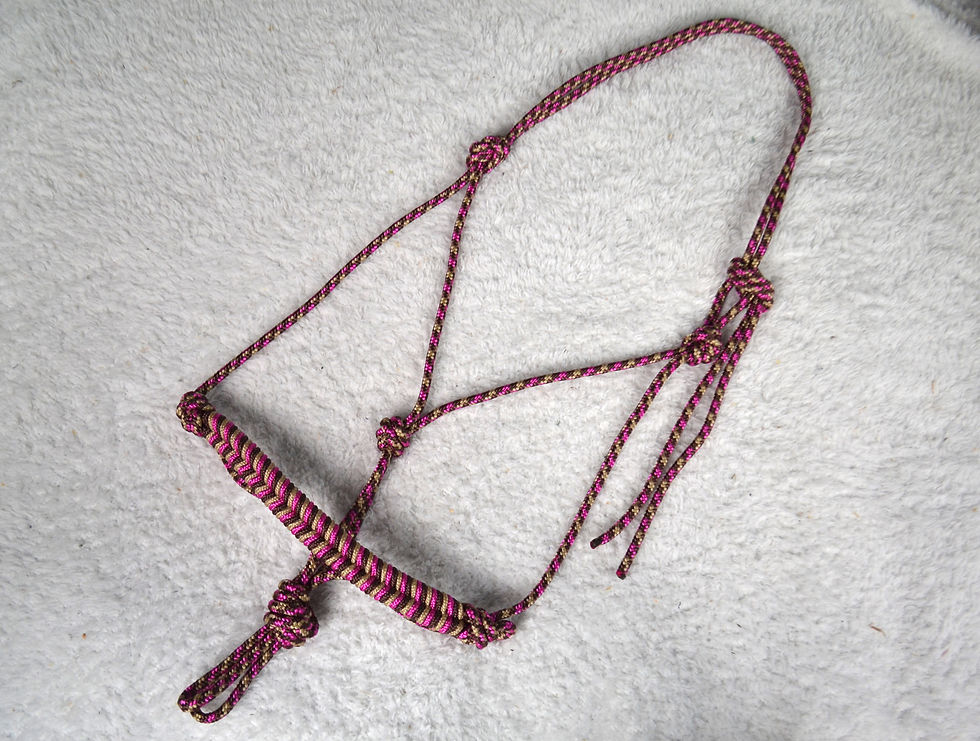 Licol Ethologique | Marron, tressage Obsidienne rose, marron et beige