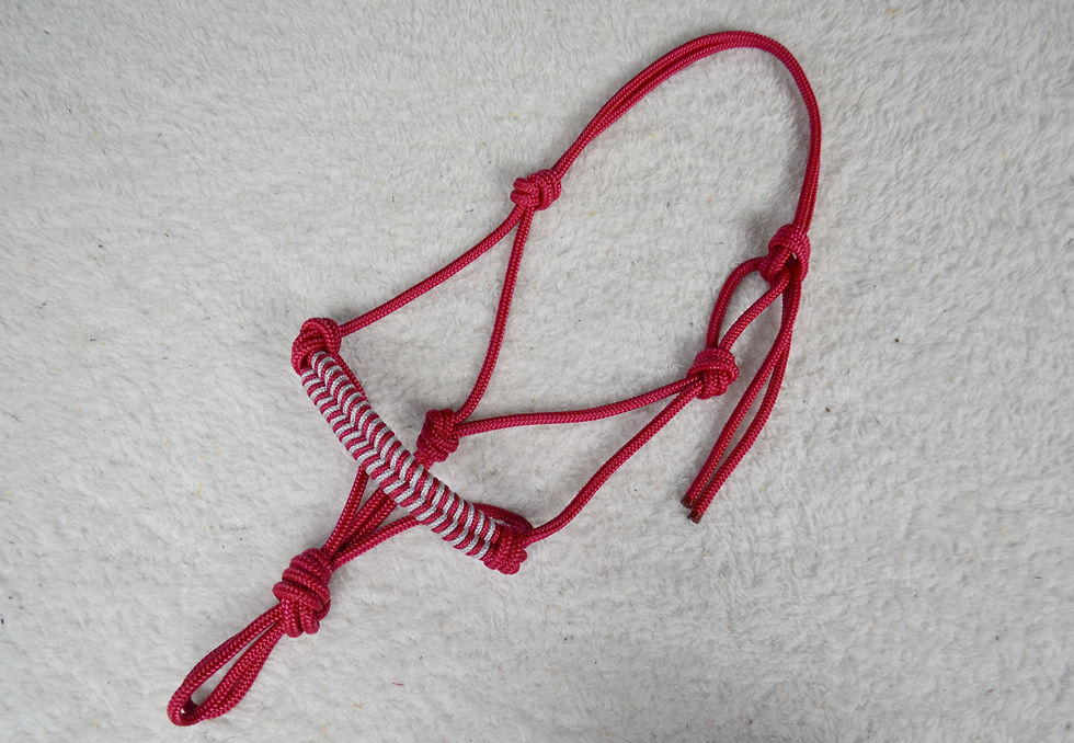 Licol éthologique Obsidienne | Rouge & gris ciment