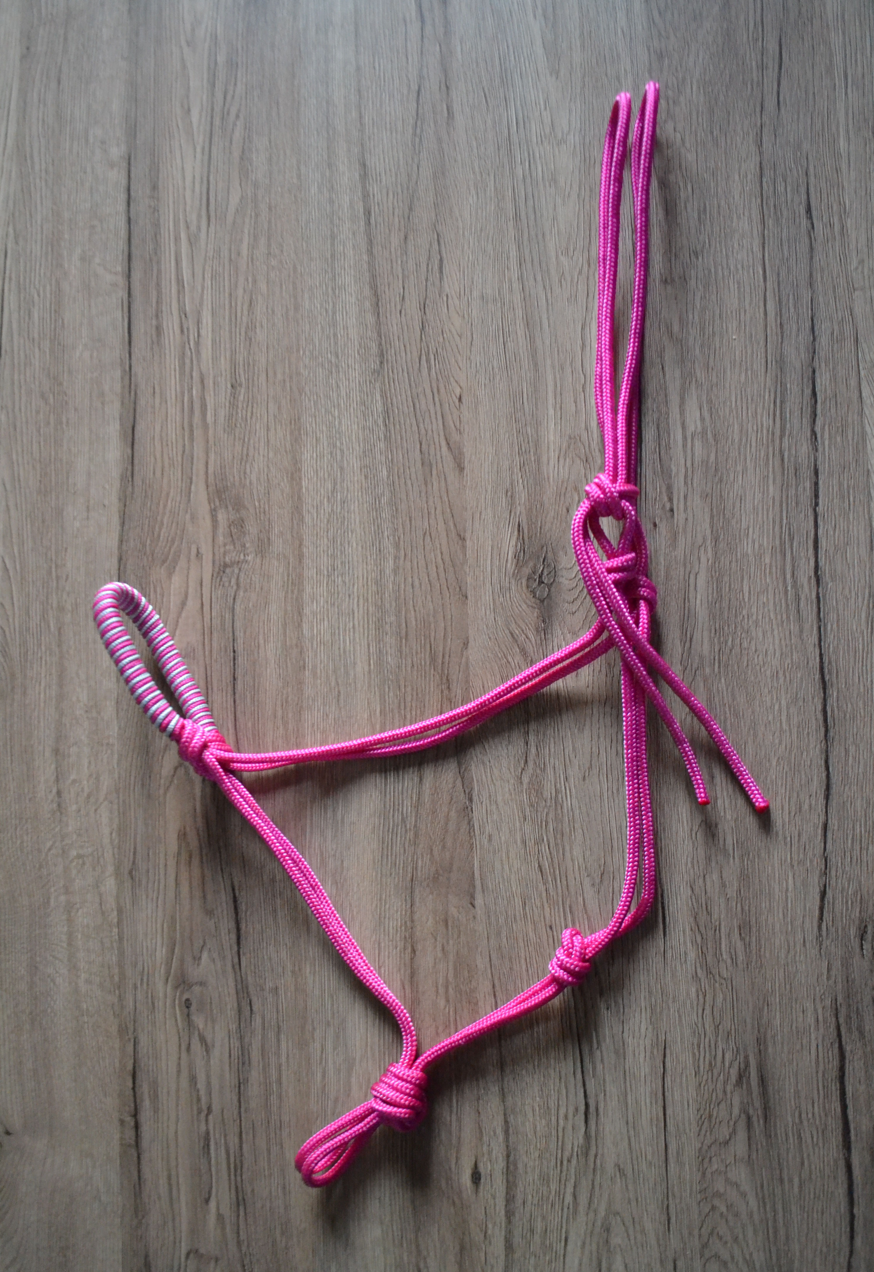 Licol éthologique Azurite | Rose néon & gris ciment