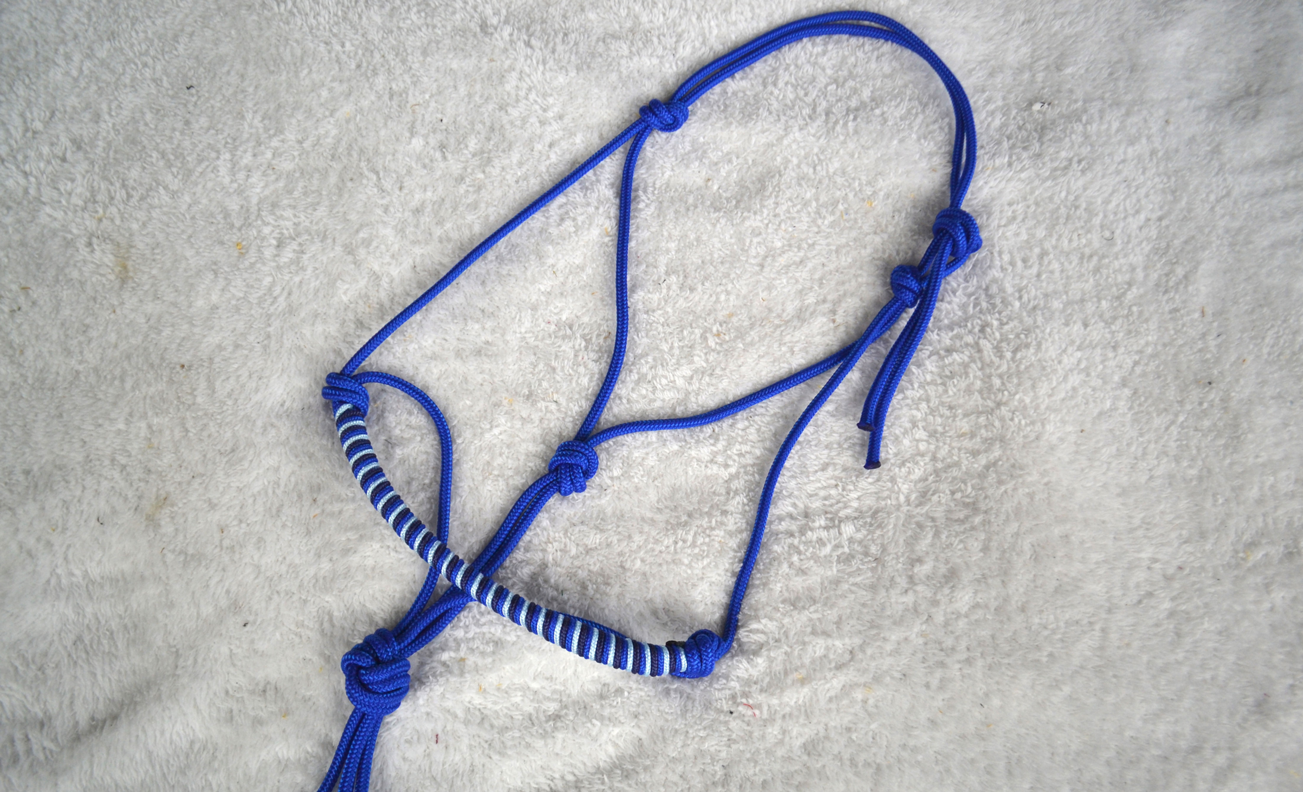 Licol Ethologique | Bleu roi, tressage Azurite dégradé de bleu