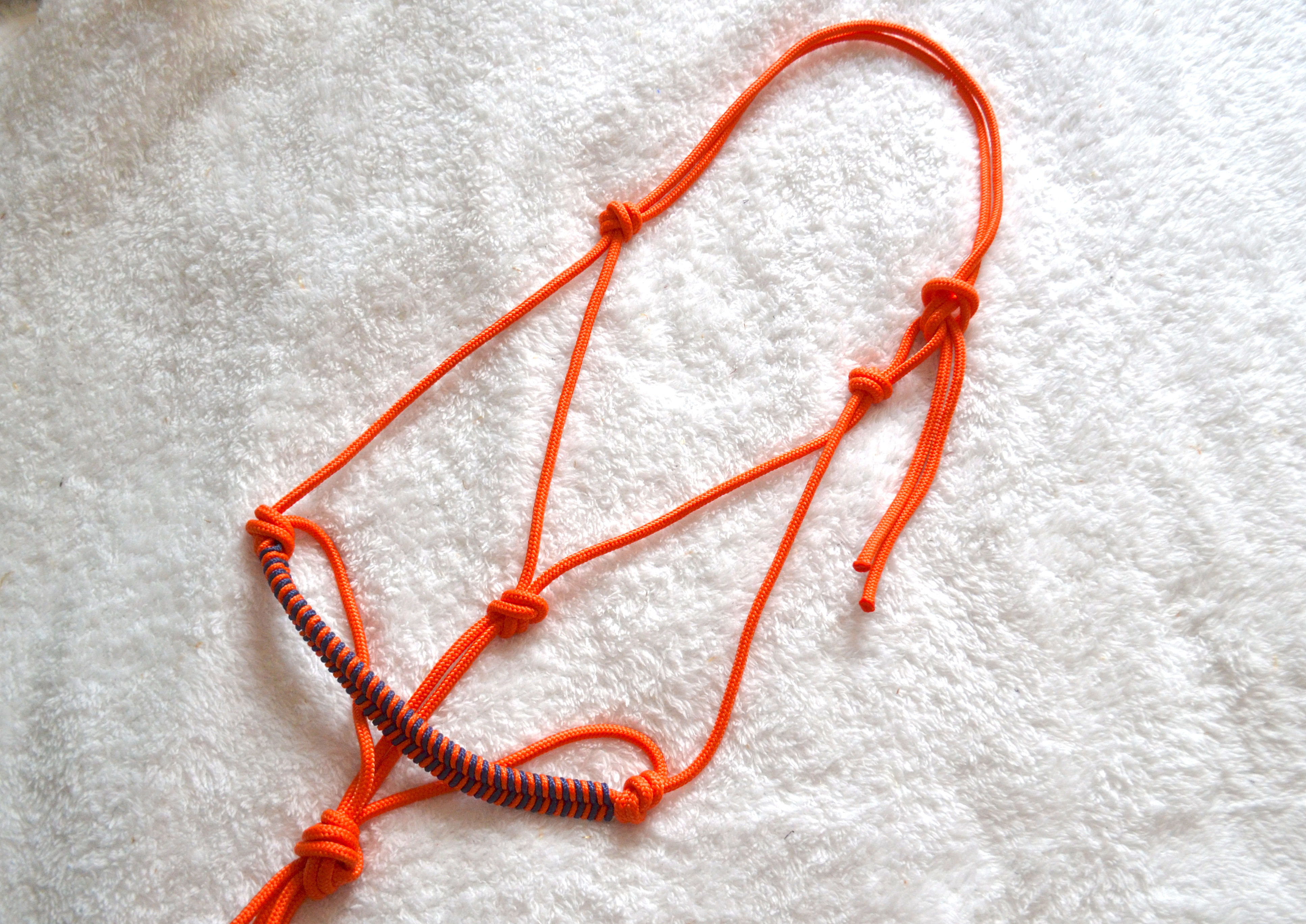 Licol éthologique Obsidienne | Orange néon & bleu foncé