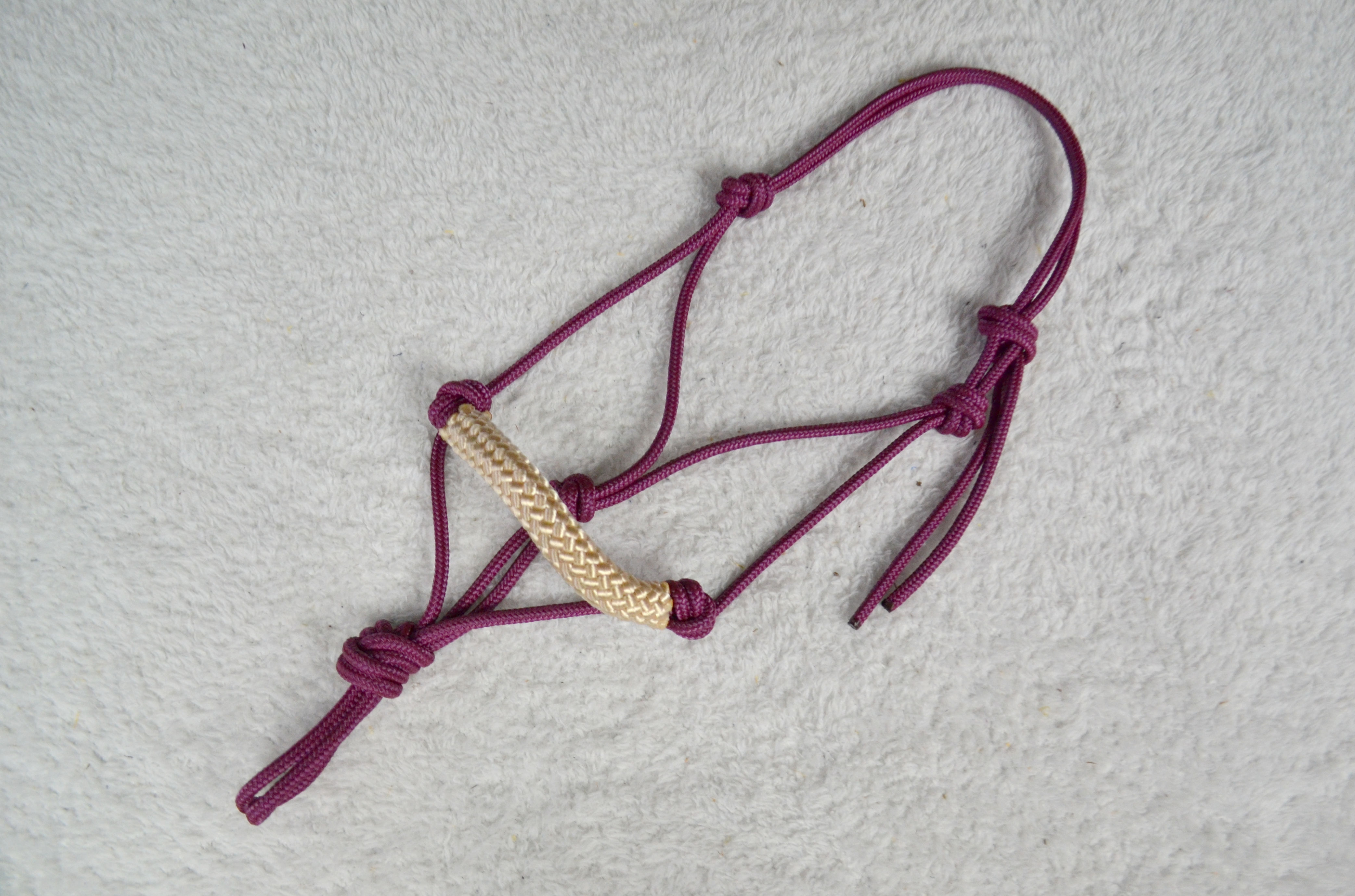 Licol Ethologique | Prune, tressage Omega crème