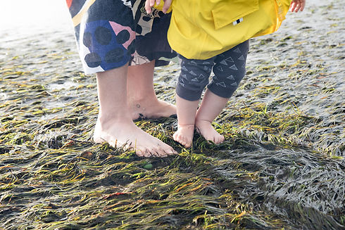 Mum-and-toddler-feet-on-algue-web.jpg