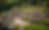 sloped-yard