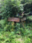 IMG_4304.jpeg