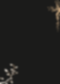 tloomnie.png
