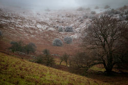Snowy ascent up the Blorenge