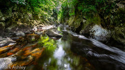 Fairy Glen