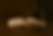 ChatGPT Image Nov 12, 2025, 07_46_01 PM.png