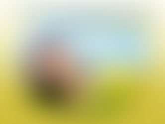 Listen to Your Daydreams