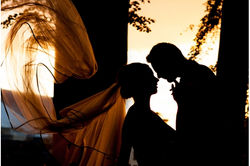 REGAL CASA WEDDING & EVENTS