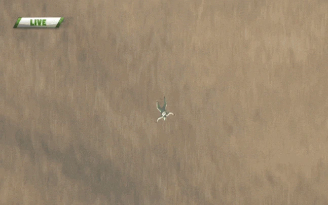 gif-luke-aikins---25000-feet_073116022011.webp