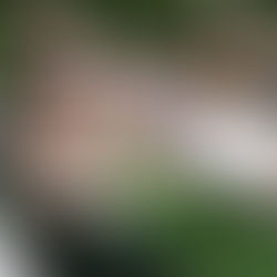 How to Choose Wedding Music