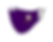 Spotswood Face Mask Mockup1