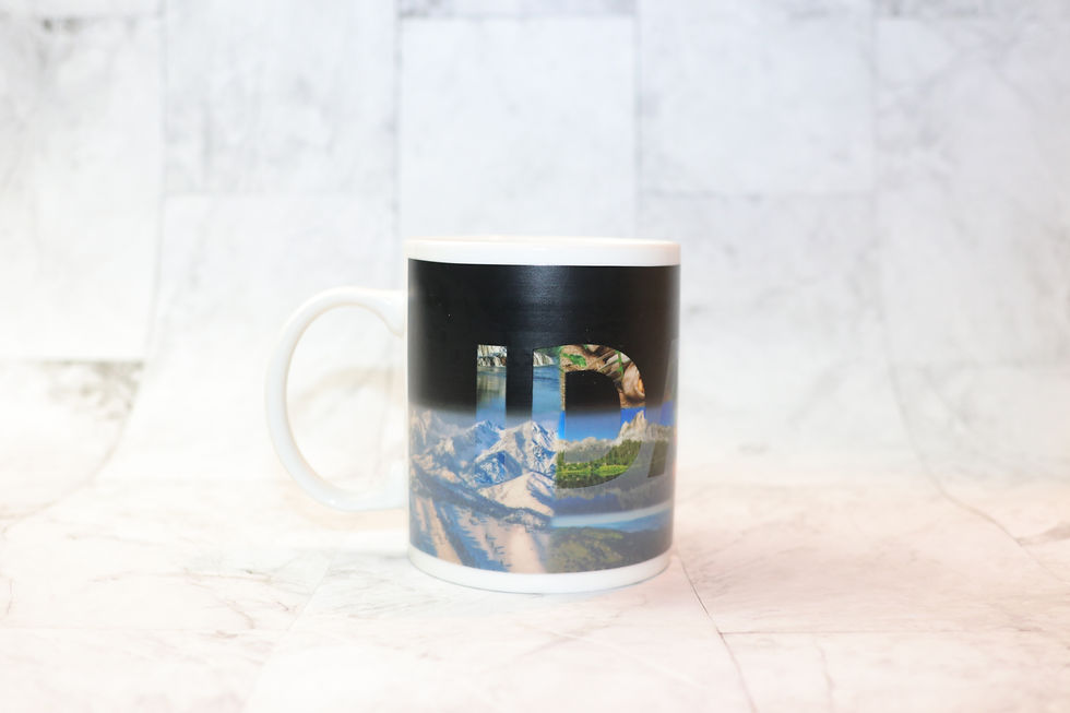 Thumbnail: State of Idaho ThermoH Exray Mug