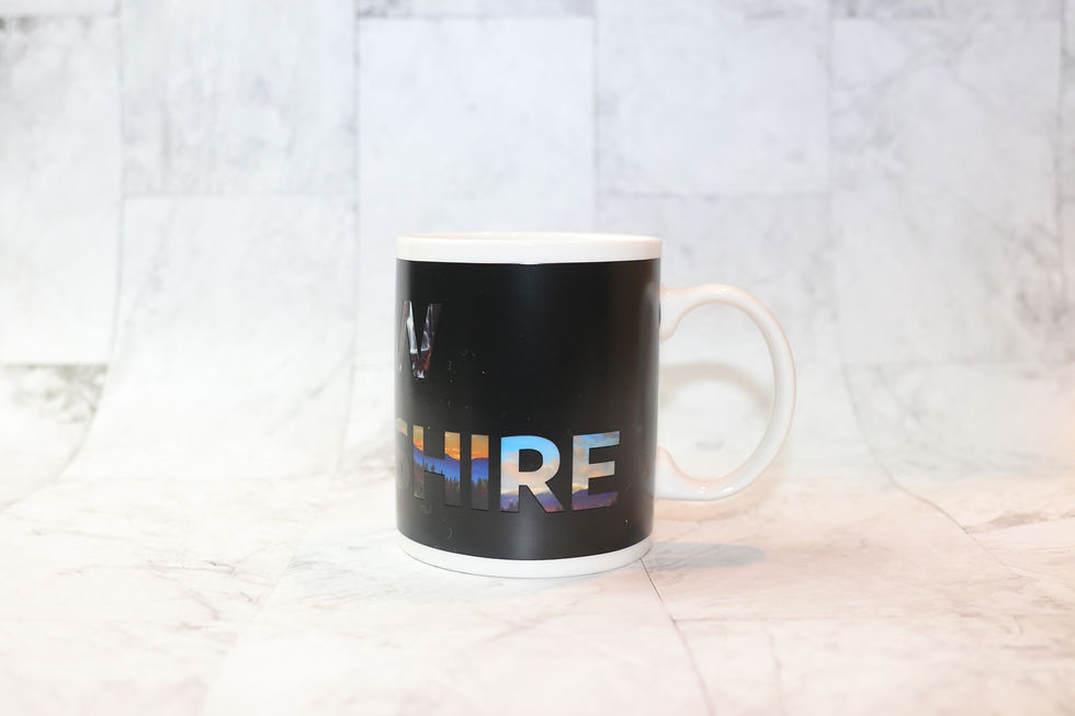 Thumbnail: State of New Hampshire ThermoH Exray Mug