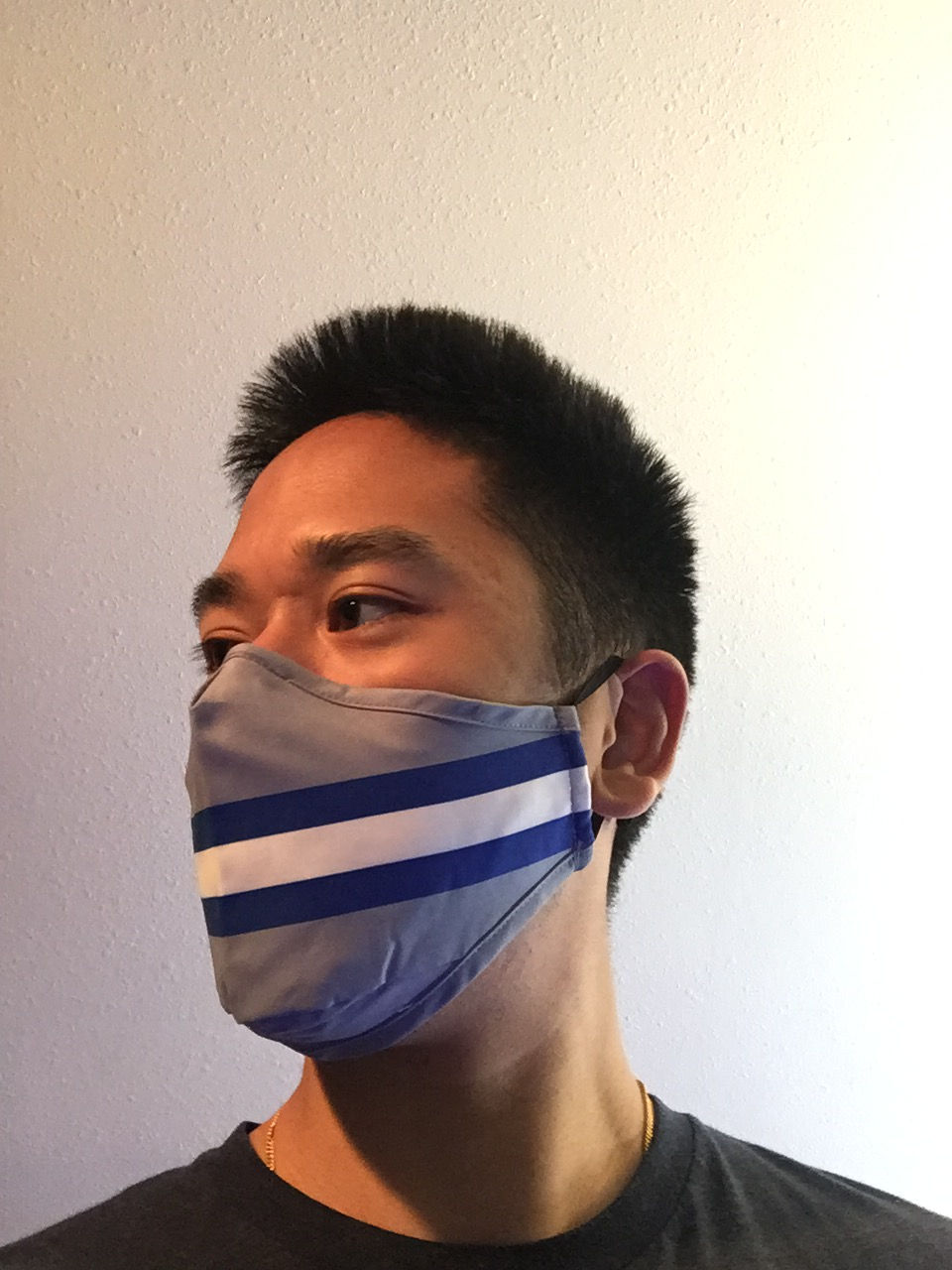 Thumbnail: Silver & Blue Stripes Team Mask