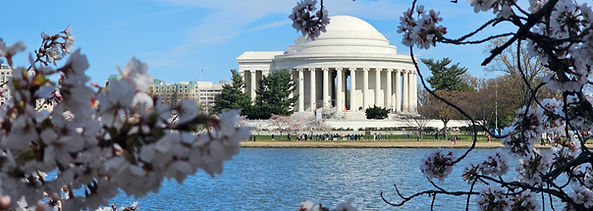 The Jefferson Memorial and blooming cherry blossoms viewed from across the tidal basin