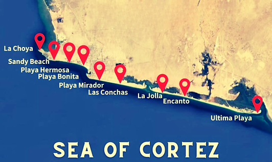 Untitled design (8).png